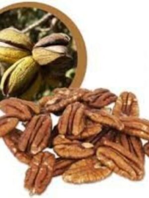 Lifefood pekanové orechy RAW BIO 500 g