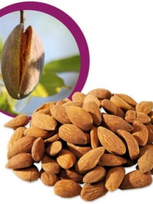 Lifefood Mandle natural BIO 500g