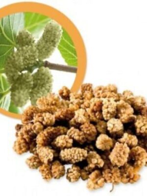 Lifefood Moruša biela sušená BIO 500 g
