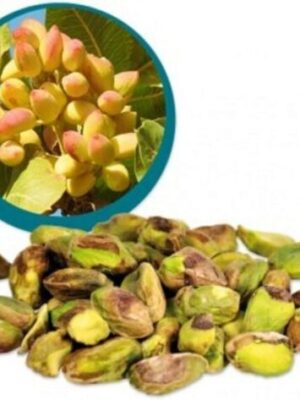 Lifefood Pistácie lúpané BIO 500 g